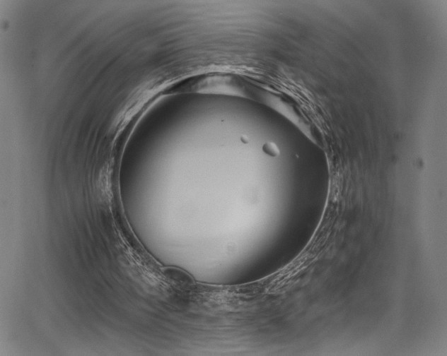 X0000066000098200603031231