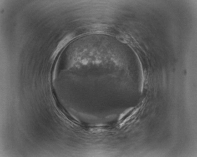 X0000066000099200603031231