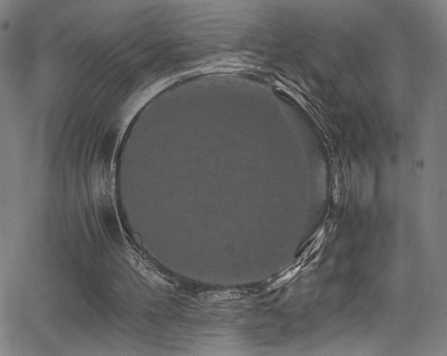 X0000066000100200603031231