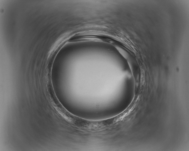 X0000066000101200603031231