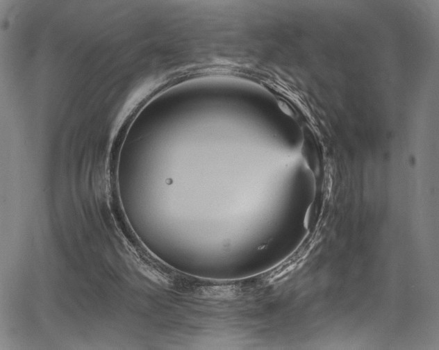 X0000066000102200603031231