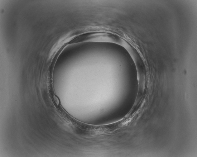 X0000066000103200603031231