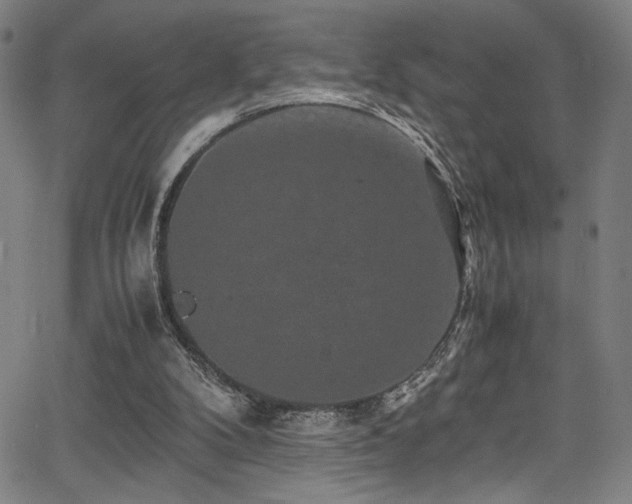 X0000066000104200603031231