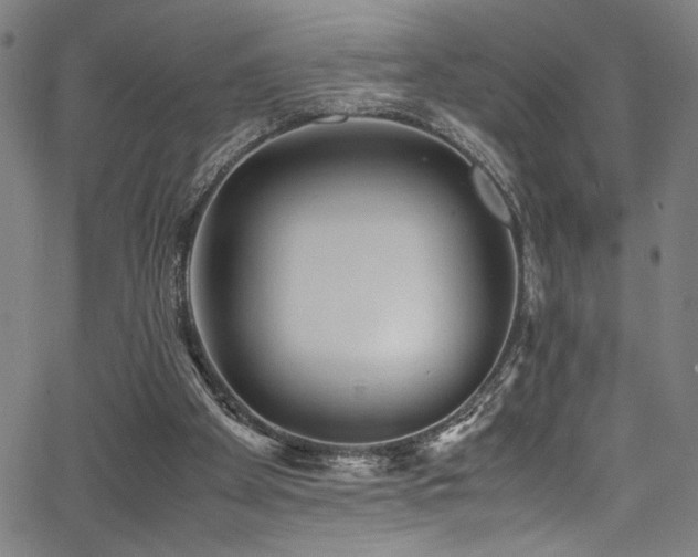 X0000066000105200603031231