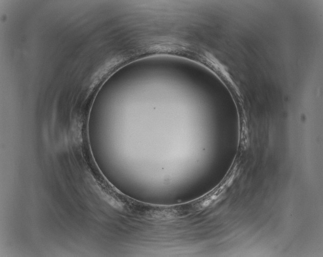 X0000066000106200603031230