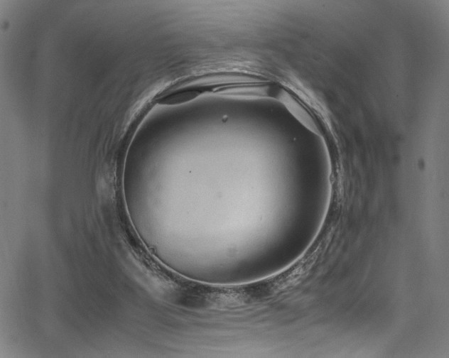 X0000066000107200603031230