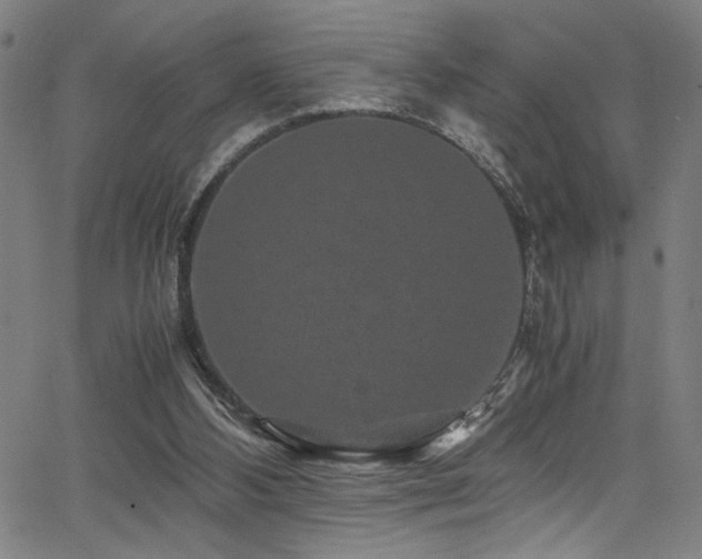 X0000066000108200603031230