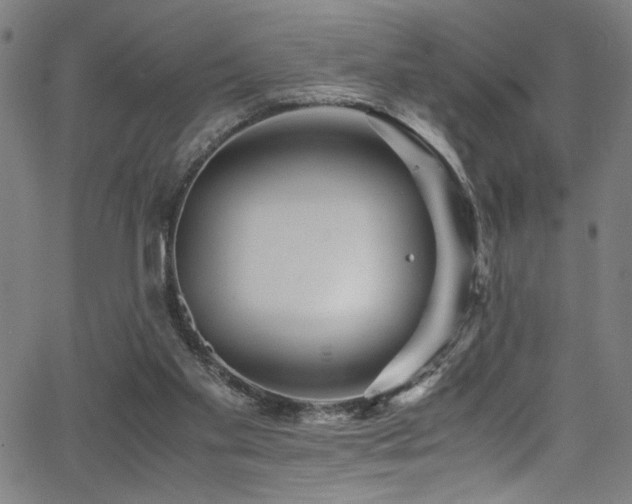 X0000066000109200603031230