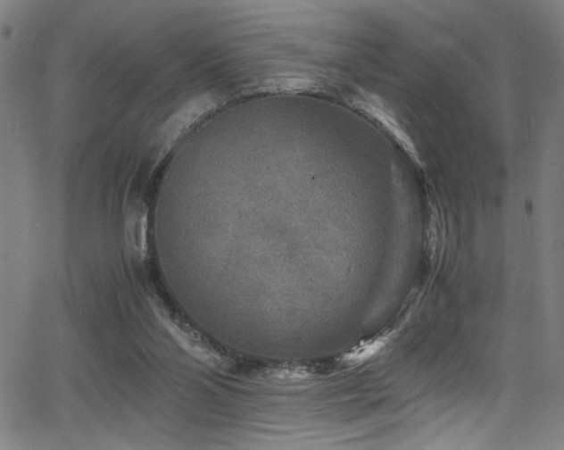 X0000066000110200603031230