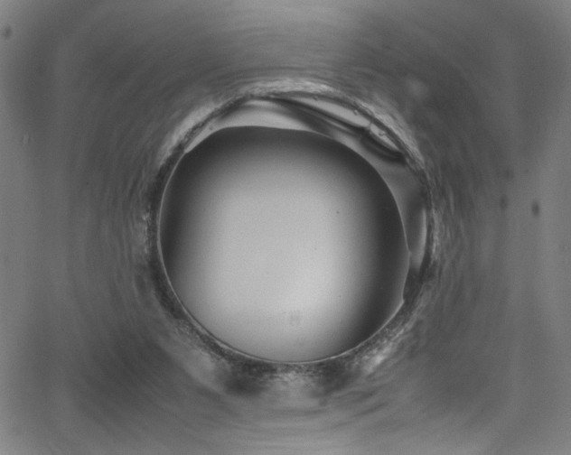 X0000066000111200603031230