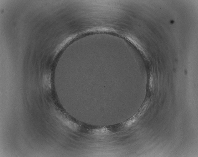 X0000066000112200603031230