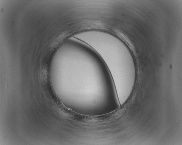 X0000066000113200603031230