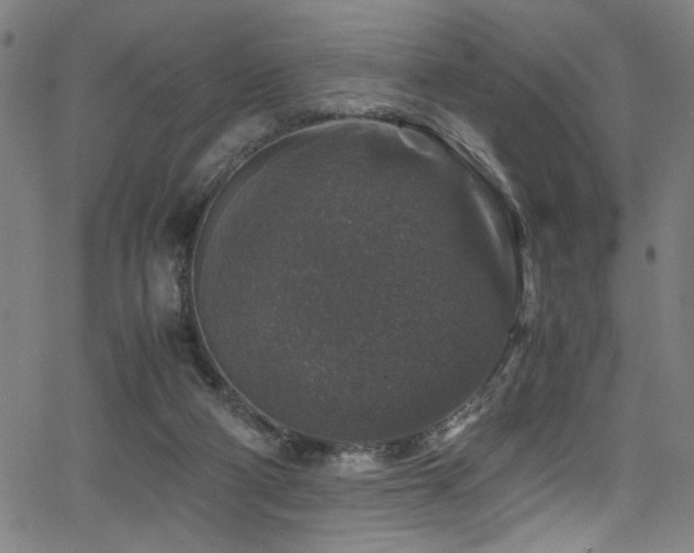 X0000066000114200603031230