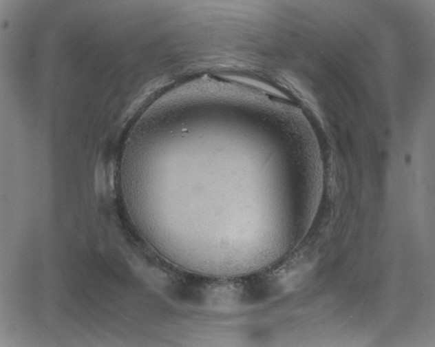 X0000066000115200603031230