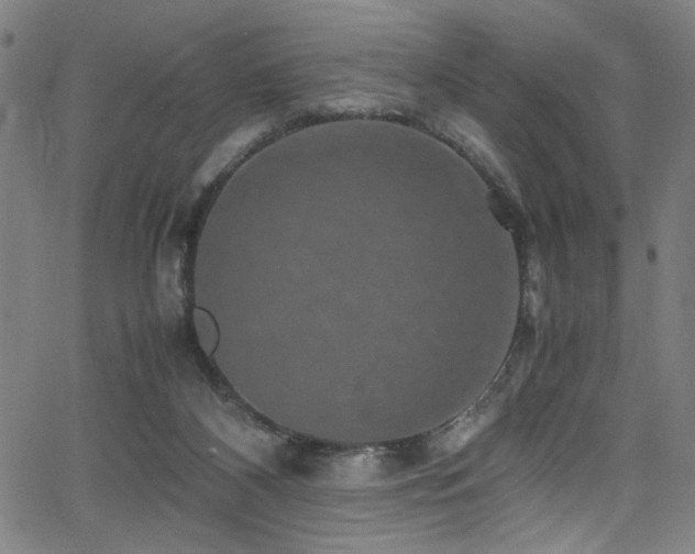 X0000066000116200603031230