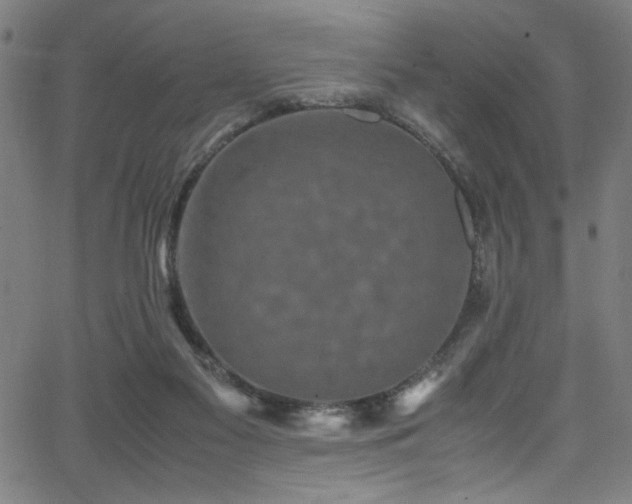 X0000066000117200603031230