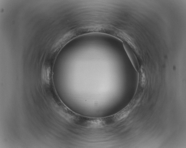 X0000066000118200603031230