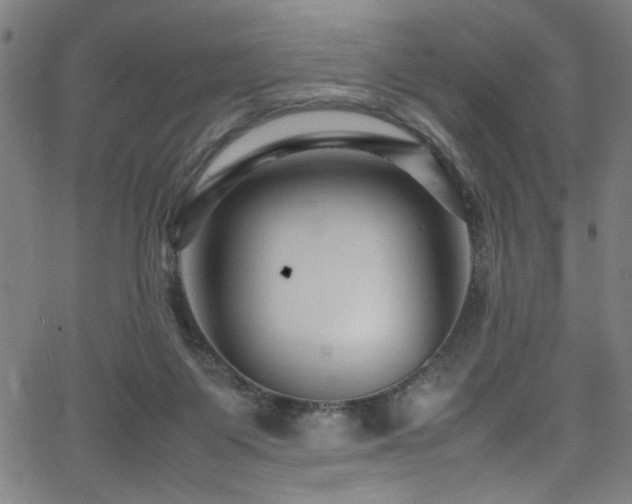 X0000066000119200603031230