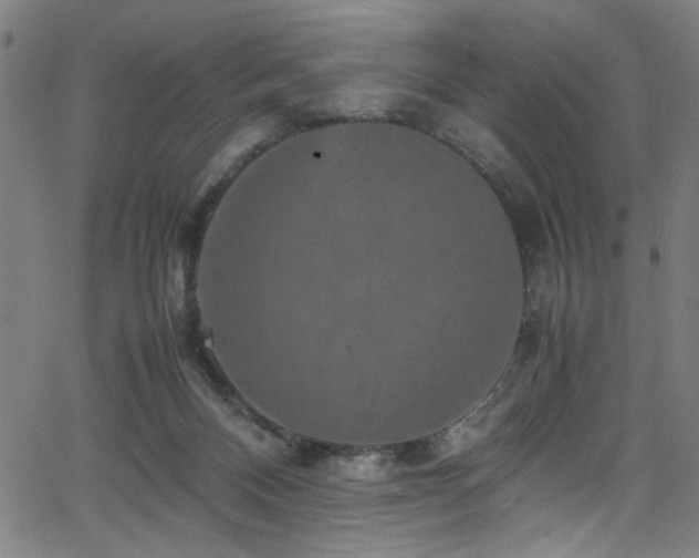 X0000066000120200603031230