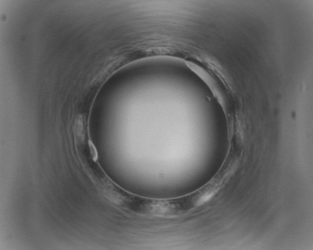 X0000066000121200603031230