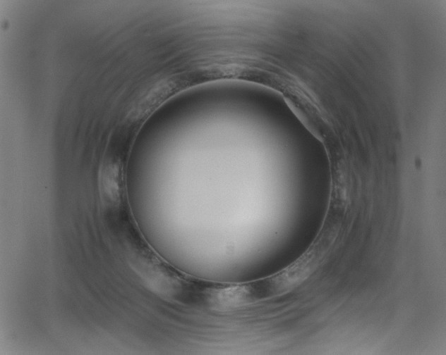 X0000066000122200603031230