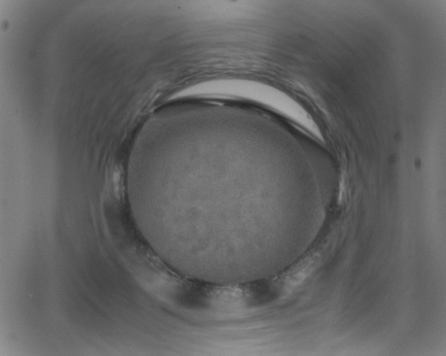 X0000066000123200603031230