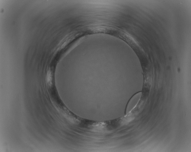 X0000066000124200603031230