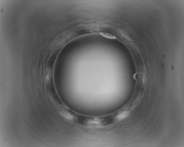 X0000066000125200603031230