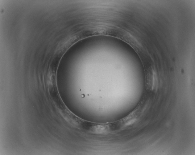 X0000066000126200603031230