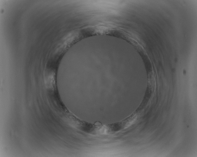 X0000066000127200603031230