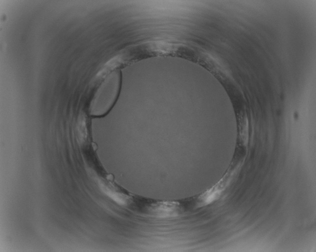 X0000066000128200603031230