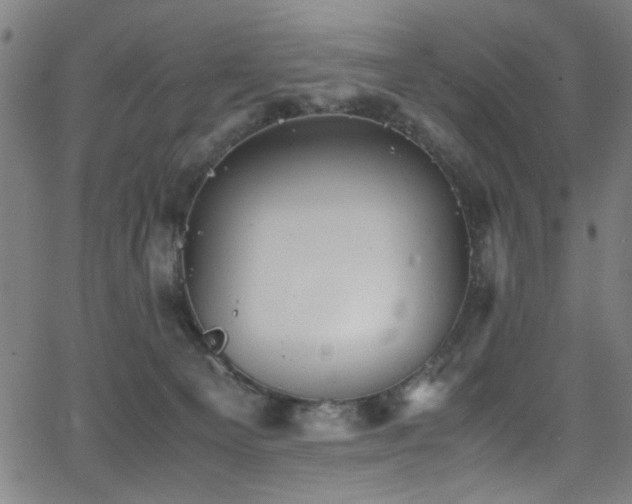 X0000066000129200603031230