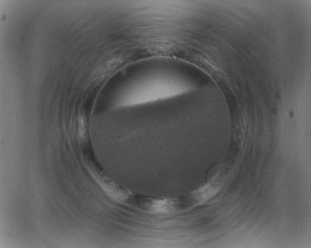 X0000066000130200603031230