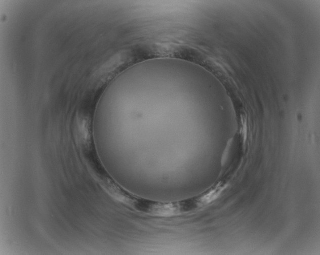 X0000066000131200603031230