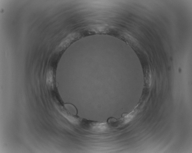 X0000066000132200603031230