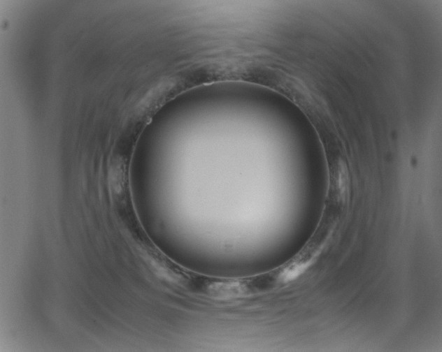 X0000066000133200603031230