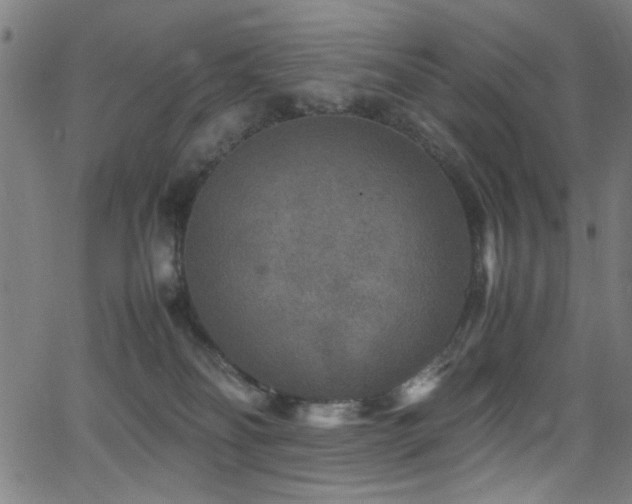 X0000066000134200603031230