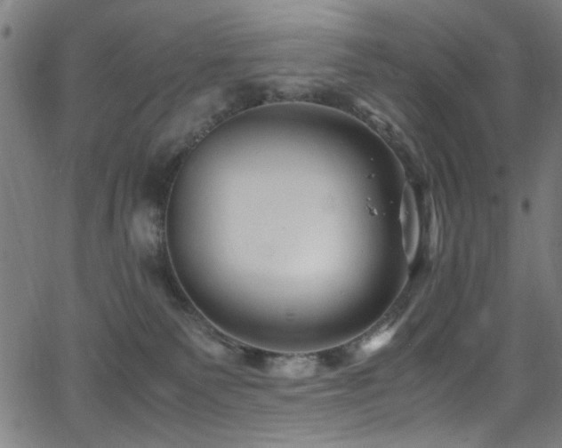 X0000066000135200603031230