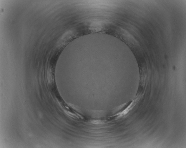 X0000066000136200603031230