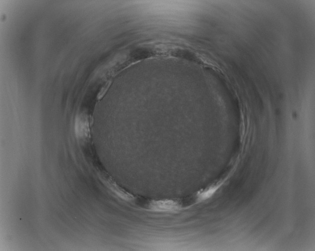 X0000066000137200603031230