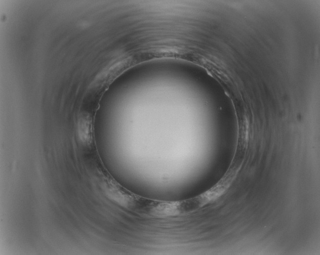 X0000066000138200603031230