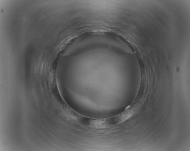 X0000066000139200603031230