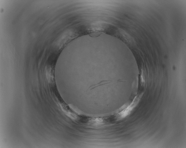 X0000066000140200603031230