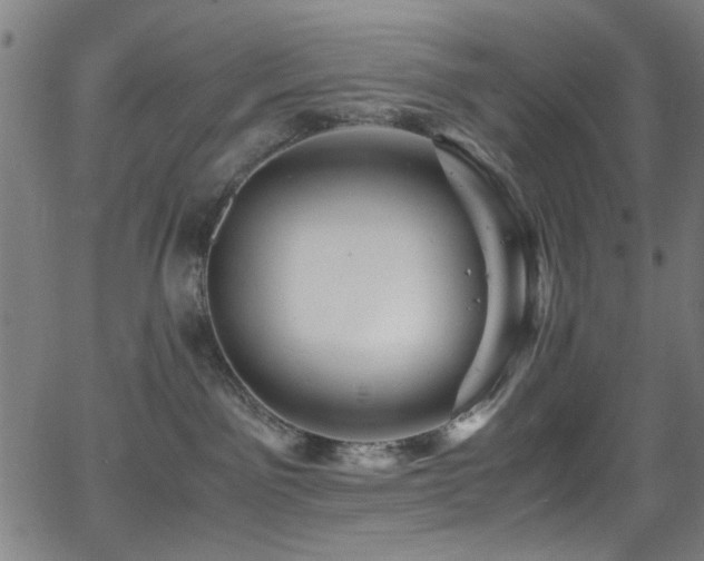 X0000066000141200603031230