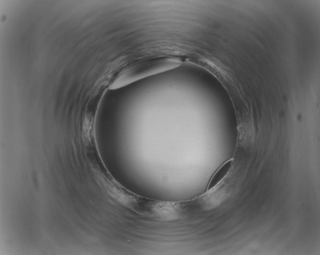 X0000066000142200603031230