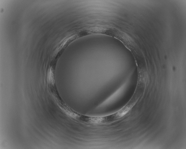 X0000066000143200603031230