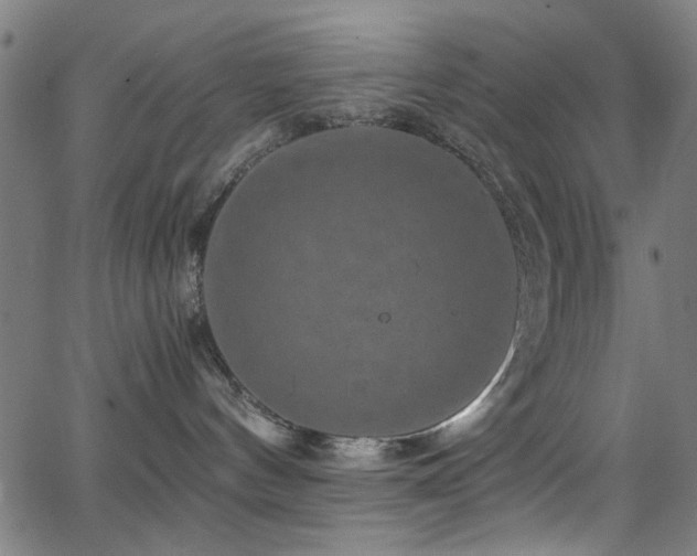 X0000066000144200603031230