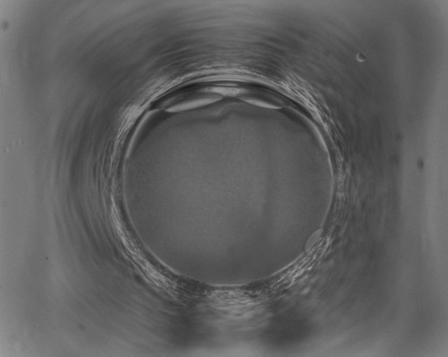 X0000066000145200603031229