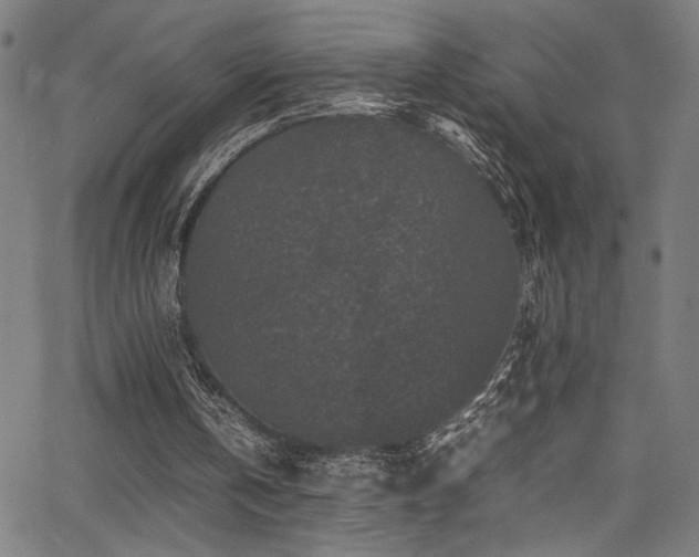 X0000066000146200603031229