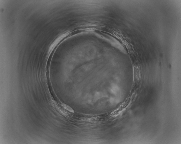 X0000066000147200603031229